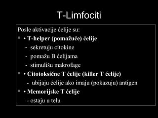 T-LimfocitiT-Limfociti
Posle aktivacije ćelije su:Posle aktivacije ćelije su:
 •• T-helper (pomažuće) ćelijeT-helper (pomažuće) ćelije
-- sekretuju citokinesekretuju citokine
- pomažu B ćelijama- pomažu B ćelijama
- stimulišu makrofage- stimulišu makrofage
 •• Citotoksične T ćelije (killer T ćelije)Citotoksične T ćelije (killer T ćelije)
- ubijaju ćelije ako imaju (pokazuju) antigen- ubijaju ćelije ako imaju (pokazuju) antigen
 •• Memorijske T ćelijeMemorijske T ćelije
- ostaju u telu- ostaju u telu
 