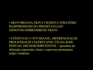 •• SKUP ORGANA,TKIVA I SUDOVA STRATEŠKI
RASPOREĐENIH DA PREDSTAVLJAJU
OSNOVNO ODBRAMBENO TKIVO
• UČESTVUJU U STVARANJU, DIFERENCIJACIJI,
PROLIFERACIJI I SAZREVANJU ĆELIJA KOJE
POSTAJU IMUNOKOMPETENTNE – sposobne da
uklanjaju nepoznate, strane i sopstvene promenjene
ćelije i strukture
 
