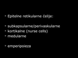  Epitelne retikularne ćelije:Epitelne retikularne ćelije:
 subkapsularne/perivaskularnesubkapsularne/perivaskularne
 kortikalne (nurse cells)kortikalne (nurse cells)
 medularnemedularne
 emperipoiezaemperipoieza
 