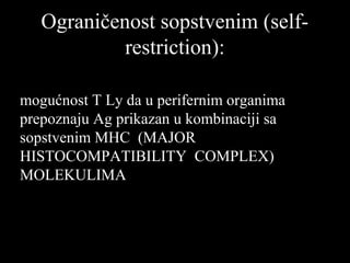 Ograničenost sopstvenim (self-Ograničenost sopstvenim (self-
restriction):restriction):
mogućnost T Ly da u perifernim organima
prepoznaju Ag prikazan u kombinaciji sa
sopstvenim MHC (MAJOR
HISTOCOMPATIBILITY COMPLEX)
MOLEKULIMA
 