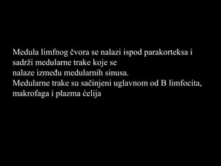 Medula limfnog čvora se nalazi ispod parakorteksa i
sadrži medularne trake koje se
nalaze između medularnih sinusa.
Medularne trake su sačinjeni uglavnom od B limfocita,
makrofaga i plazma ćelija
 