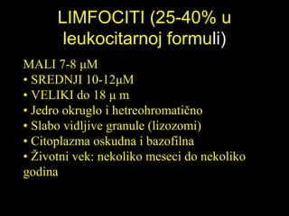 LIMFOCITI (2LIMFOCITI (255--440% u0% u
leukocitarnoj formuleukocitarnoj formuli)li)
MALI 7-8 μM
• SREDNJI 10-12μM
• VELIKI do 18 μ m
• Jedro okruglo i hetreohromatično
• Slabo vidljive granule (lizozomi)
• Citoplazma oskudna i bazofilna
• Životni vek: nekoliko meseci do nekoliko
godina
 