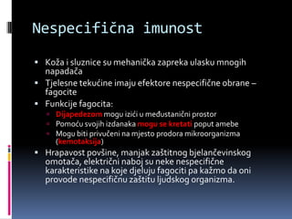 Nespecifična imunost
 Koža i sluznice su mehanička zapreka ulasku mnogih

napadača
 Tjelesne tekućine imaju efektore nespecifične obrane –
fagocite
 Funkcije fagocita:
 Dijapedezom mogu izići u međustanični prostor
 Pomoću svojih izdanaka mogu se kretati poput amebe
 Mogu biti privučeni na mjesto prodora mikroorganizma

(kemotaksija)

 Hrapavost povšine, manjak zaštitnog bjelančevinskog

omotača, električni naboj su neke nespecifične
karakteristike na koje djeluju fagociti pa kažmo da oni
provode nespecifičnu zaštitu ljudskog organizma.

 