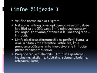Limfne žlijezde I
 Veličina normalna oko 1-15mm
 Nakupine limfnog tkiva, opkoljenog vezivom , služe

kao filtri za pročišćavanje limfe odnosno kao pravi
krvi organi za stvaranje stanica iz leukocitnog reda –
limfociti.
 Limfa ulazi kroz aferentne žile na periferiji čvora , a
izlazi u hilusu kroz eferentne limfne žile, koje
prenose pročišćenu limfu i novostvorene limfocite
prema venoznom sustavu
 Pregibne regije tijela obiluju limfnim žlijezdama:
ingvinalne, aksilarne, kubitalne, submandibularne,
retroaurikularne;

 
