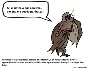 Mi madriña o que aquí vai…
e o que me queda por buscar
As imaxes fotográficas foron collidas da “internet”, e os datos de fontes diversas.
Agradézolle aos autores a súa dispoñibilidade e agardo saiban disculpar o uso que fixen
delas.
 