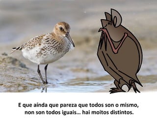 E que aínda que pareza que todos son o mismo,
non son todos iguais… hai moitos distintos.
 