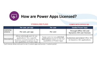 Limitations and Cost of Using Microsoft's Power Platform | PDF