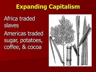Expanding Capitalism Africa traded slaves Americas traded sugar, potatoes, coffee, & cocoa 