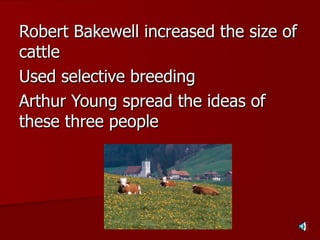 Robert Bakewell increased the size of cattle Used selective breeding Arthur Young spread the ideas of these three people 