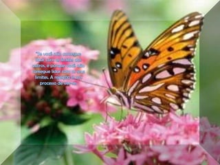 "Se você não consegue lidar com os limites dos outros, é porque você não consegue lidar com os seus limites. A rejeição é um processo de ver-se. 