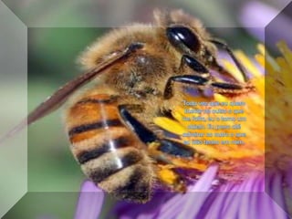 Toda vez que eu quero buscar no outro o que me falta, eu o torno um objeto. Eu posso até admirar no outro o que eu não tenho em mim, 