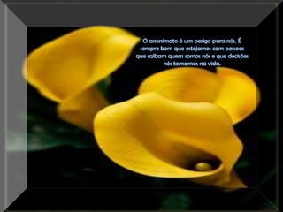 O anonimato é um perigo para nós. É sempre bom que estejamos com pessoas que saibam quem somos nós e que decisões nós tomamos na vida.