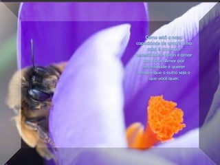 Como está a nossa capacidade de amar? Uma coisa é amar por necessidade e outra é amar por valor. Amar por necessidade é querer sempre que o outro seja o que você quer.