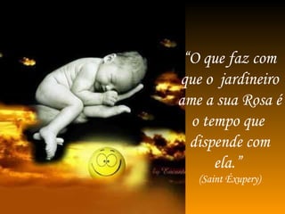 “ O que faz com que o  jardineiro ame a sua Rosa é o tempo que  dispende com ela.”  (Saint Éxupery) 