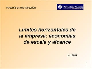 Límites horizontales de la empresa: economías de escala y alcance sep 2004 