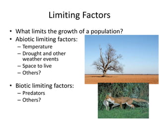 Limiting Factors
• What limits the growth of a population?
• Abiotic limiting factors:
– Temperature
– Drought and other
weather events
– Space to live
– Others?
• Biotic limiting factors:
– Predators
– Others?
 