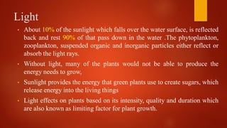 Light
• About 10% of the sunlight which falls over the water surface, is reflected
back and rest 90% of that pass down in the water .The phytoplankton,
zooplankton, suspended organic and inorganic particles either reflect or
absorb the light rays.
• Without light, many of the plants would not be able to produce the
energy needs to grow,
• Sunlight provides the energy that green plants use to create sugars, which
release energy into the living things
• Light effects on plants based on its intensity, quality and duration which
are also known as limiting factor for plant growth.
 