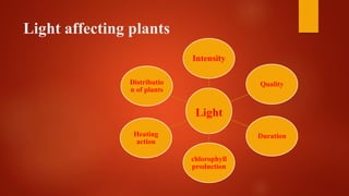 Light affecting plants
Light
Intensity
Quality
Duration
chlorophyll
production
Heating
action
Distributio
n of plants
 