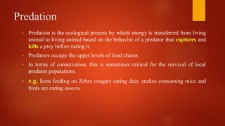 Predation
• Predation is the ecological process by which energy is transferred from living
animal to living animal based on the behavior of a predator that captures and
kills a prey before eating it.
• Predators occupy the upper levels of food chains.
• In terms of conservation, this is sometimes critical for the survival of local
predator populations.
• e.g. lions feeding on Zebra cougars eating deer, snakes consuming mice and
birds are eating insects.
 