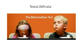 Testul Zefirului
 