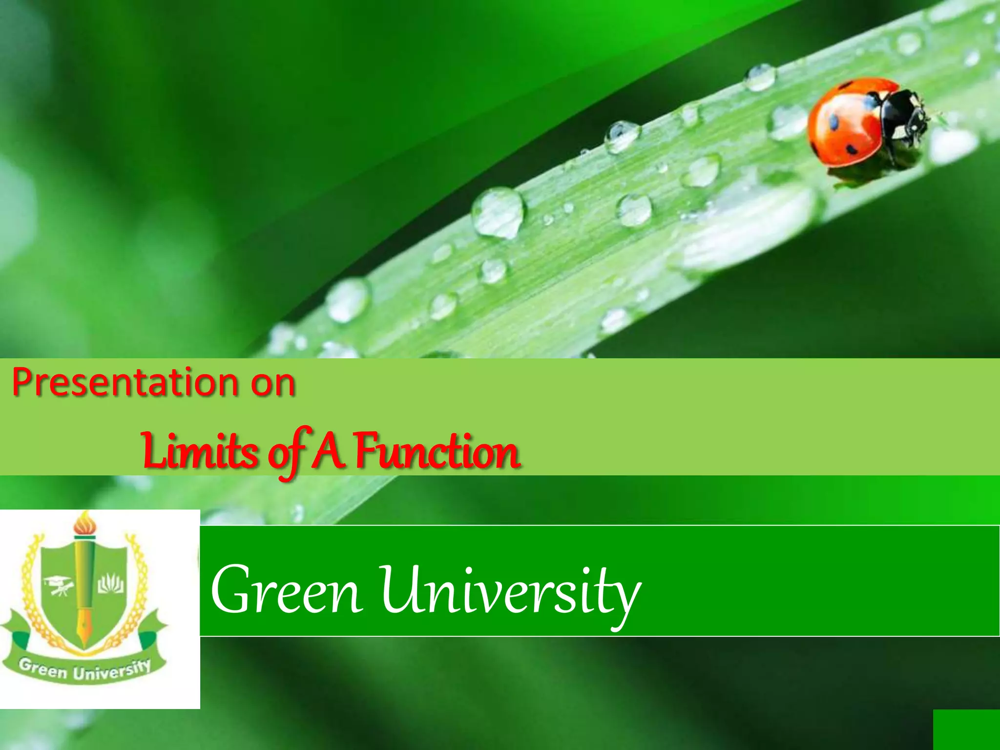Presentation on
Limits of A Function
Green University
