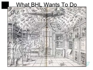 What BHL Wants To Do 