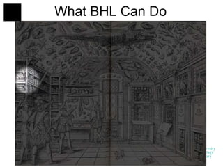 What BHL Can Do 