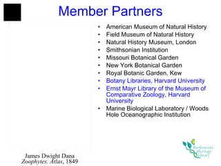 Member Partners American Museum of Natural History Field Museum of Natural History Natural History Museum, London Smithsonian Institution Missouri Botanical Garden New York Botanical Garden Royal Botanic Garden, Kew Botany Libraries, Harvard University Ernst Mayr Library of the Museum of Comparative Zoology, Harvard University Marine Biological Laboratory / Woods Hole Oceanographic Institution James Dwight Dana Zoophytes. Atlas , 1849 
