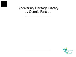 Biodiversity Heritage Library by Connie Rinaldo 