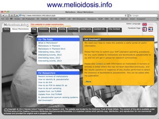 www.melioidosis.info

 