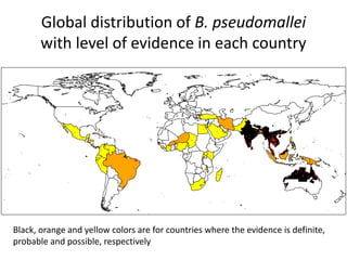 Global distribution of B. pseudomallei
with level of evidence in each country

● ●
●● ●
●
●
●

●

●
●

●

●

●
●

●
● ●
●

●
●

●
●
●

●●
●

●

●
●

●
● ●●

●●

●

●

●

●

● ●
●
●
●
●
●
● ● ●●
●
●
●
●
● ●

●

●

●
●
●
●
●

●
●

●

●

●●
●●●
●
●
●
● ●

● ●
●

●

●

●
●
●
●●
● ●●
● ●
●
●

●
●
●
●
●
●
●
●● ●●
●
●
●
●
● ● ●●
●
●●
● ●● ●
●
●
●●
●
●
●
●
●● ●
●●
●●
● ● ●●
●
●
●
●
● ●●●●●
●
●
●● ●● ●
●● ●
●● ● ●
● ●
●●
●●
●
●●
● ●●●●●
● ●●
● ●●●●●
●
●
●●
●●
●●
●●
●●
●●
●● ●
●●
●
● ●●
●
●●
●● ●
●●
●
●●
●
●●●
●●
●
●

●

●

●
●
●
●
●
● ●
●
●
●
●
●
●
● ●
●
●
● ●
●
●
●
●
●
●
● ● ● ●●
●
●

●

●

●
●
●

●
●

●

●
●
●

●

●

●
●
●
●

●●
●
●
●
●

Black, orange and yellow colors are for countries where the evidence is definite,
probable and possible, respectively
−150
−100
−50
0
50
100
150

●

 