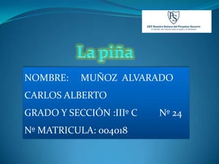 NOMBRE:    MUÑOZ ALVARADO
CARLOS ALBERTO
GRADO Y SECCIÓN :IIIº C   Nº 24
Nº MATRICULA: 004018
 