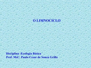O LIMNOCICLO Disciplina :Ecologia Básica Prof. MsC. Paulo Cesar de Souza Grillo 