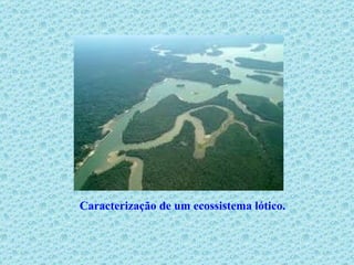 Caracterização de um ecossistema lótico.  