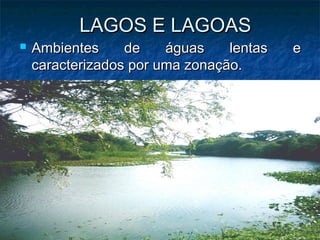 LAGOS E LAGOAS
   Ambientes     de    águas    lentas   e
    caracterizados por uma zonação.
 