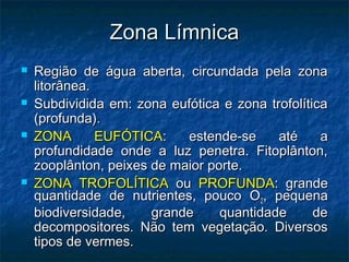Zona Límnica
Zona Límnica
 Região de água aberta, circundada pela zona
Região de água aberta, circundada pela zona
litorânea.
litorânea.
 Subdividida em: zona eufótica e zona trofolítica
Subdividida em: zona eufótica e zona trofolítica
(profunda).
(profunda).
 ZONA EUFÓTICA
ZONA EUFÓTICA: estende-se até a
: estende-se até a
profundidade onde a luz penetra. Fitoplânton,
profundidade onde a luz penetra. Fitoplânton,
zooplânton, peixes de maior porte.
zooplânton, peixes de maior porte.
 ZONA TROFOLÍTICA
ZONA TROFOLÍTICA ou
ou PROFUNDA
PROFUNDA: grande
: grande
quantidade de nutrientes, pouco O
quantidade de nutrientes, pouco O2
2, pequena
, pequena
biodiversidade, grande quantidade de
biodiversidade, grande quantidade de
decompositores. Não tem vegetação. Diversos
decompositores. Não tem vegetação. Diversos
tipos de vermes.
tipos de vermes.
 