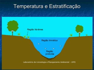 Temperatura e Estratificação
Temperatura e Estratificação
 
