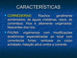 CARACTERÍSTICAS
CARACTERÍSTICAS
 CORREDEIRAS
CORREDEIRAS: Riachos geralmente
: Riachos geralmente
sombreados, de águas cristalinas, rasos, de
sombreados, de águas cristalinas, rasos, de
correnteza, frios e altamente oxigenados.
correnteza, frios e altamente oxigenados.
Nascentes dos rios.
Nascentes dos rios.
 FAUNA: organismos com modificações
FAUNA: organismos com modificações
anatômicas especializadas ao local com
anatômicas especializadas ao local com
correntezas fortes: ventosas ou corpo
correntezas fortes: ventosas ou corpo
achatado, natação ativa contra a corrente.
achatado, natação ativa contra a corrente.
 