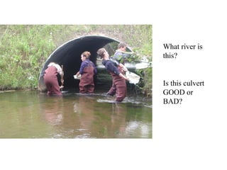 What river is
this?


Is this culvert
GOOD or
BAD?
 