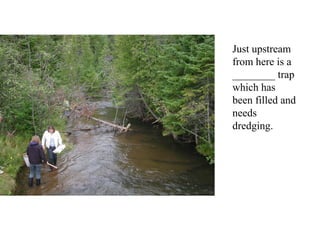 Just upstream
from here is a
________ trap
which has
been filled and
needs
dredging.
 