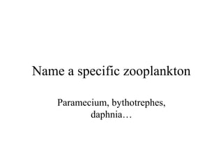 Name a specific zooplankton

    Paramecium, bythotrephes,
           daphnia…
 