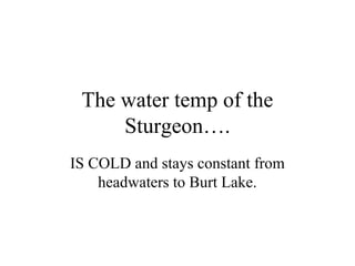 The water temp of the
     Sturgeon….
IS COLD and stays constant from
    headwaters to Burt Lake.
 