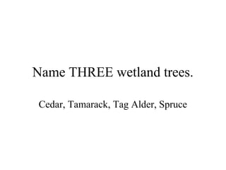 Name THREE wetland trees.

Cedar, Tamarack, Tag Alder, Spruce
 