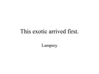 This exotic arrived first.

         Lamprey
 