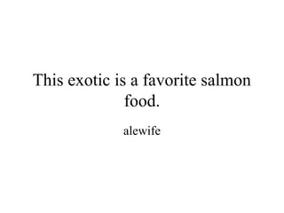This exotic is a favorite salmon
              food.
             alewife
 