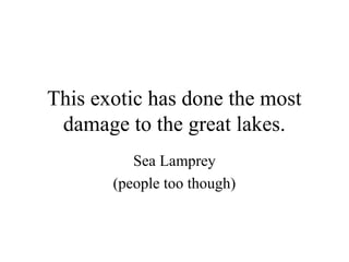 This exotic has done the most
 damage to the great lakes.
          Sea Lamprey
       (people too though)
 