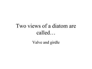 Two views of a diatom are
       called…
      Valve and girdle
 