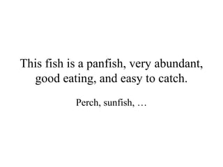 This fish is a panfish, very abundant,
  good eating, and easy to catch.
           Perch, sunfish, …
 