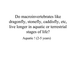 Do macroinvertebrates like
dragonfly, stonefly, caddisfly, etc,
live longer in aquatic or terrestrial
          stages of life?
        Aquatic ! (2-5 years)
 