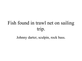 Fish found in trawl net on sailing
               trip.
    Johnny darter, sculpin, rock bass.
 